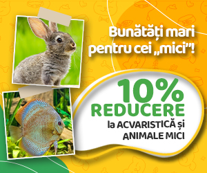 -10% La acvaristica si animale mici