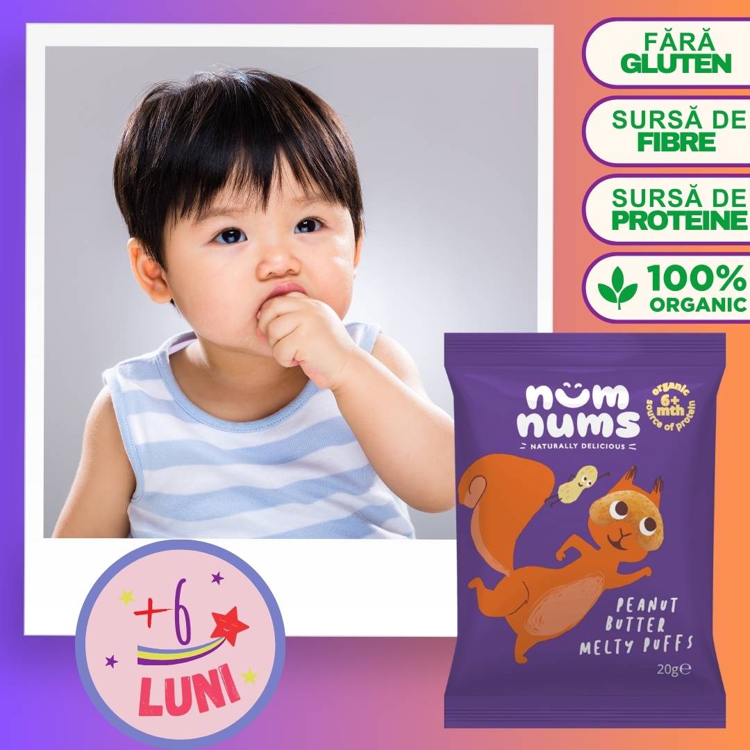 Descoperă gustările sănătoase pentru cei mici cu Num Nums - Beneficiază acum de 20% reducere!